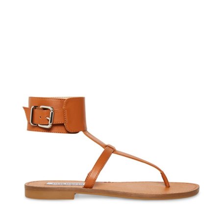 Brown Steve Madden Rico Leather Women's Flat Sandals | PH 8670JN16